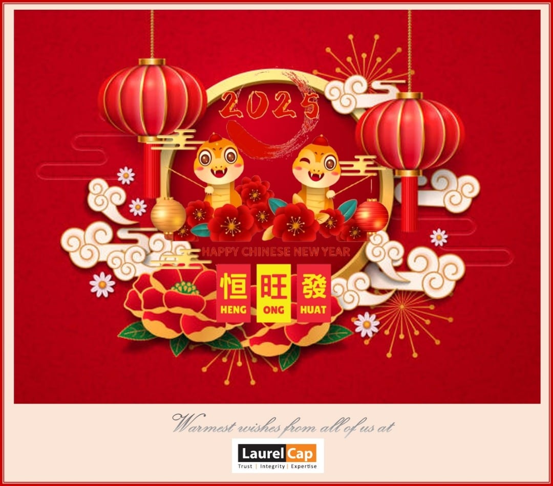 Happy Chinese New Year 2025